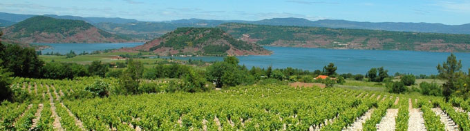 Vignoble du Clermontais - Hérault, le Languedoc © OTI Clermontais